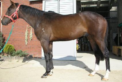 ����� ����