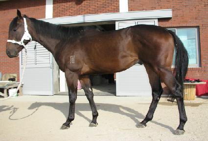 ���� ����