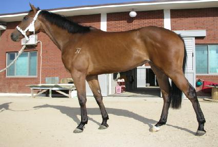 �ε��� ����