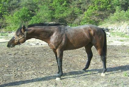 ��ô�� ����