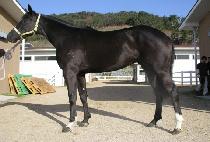 �������� (NAMHAE ILJU) ����