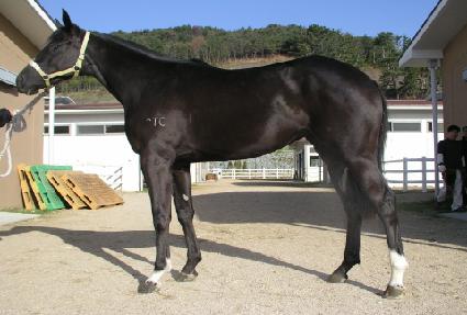 �������� ����