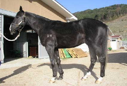 ���Ӻ�� ����