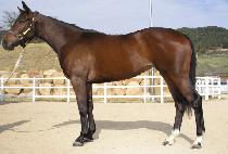 �ٴټҳ� (BADA SONYEO) ����