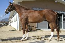 ������ (GODEUNGIL) ����