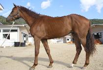 �����ְ� (NAMDO CHOEGANG) ����