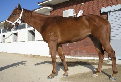 Ȳ�ݸ��� ����