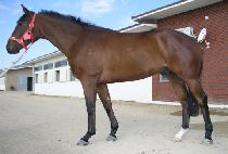 �������� (SAEBYEOK MAEUL) ����