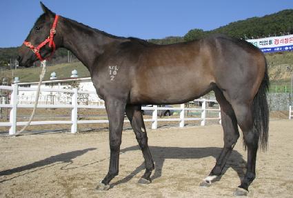 �����Ҹ� ����