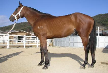 �º��� ����