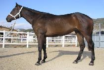 ����� (TONGNYEOLHAN) ����