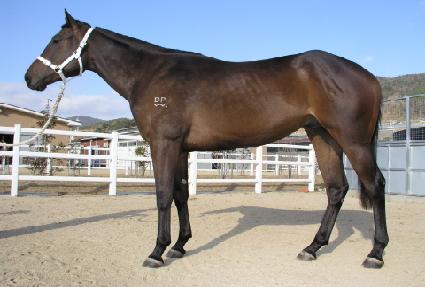 ����� ����