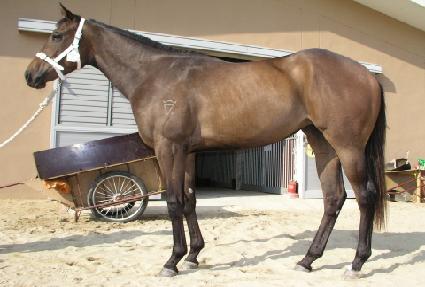 �ּ�å ����