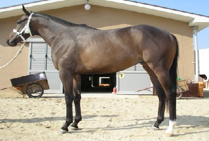 �ְ���� ����