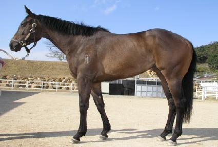 �������� ����