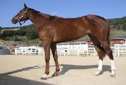 �����ҳ� ����