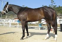 ������ (MYEONGGUNJU) ����