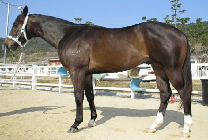 ������ ����