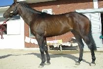 ȭ��� (HWABANGSAN) ����