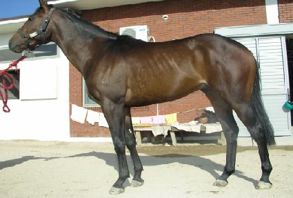 ȭ��� ����