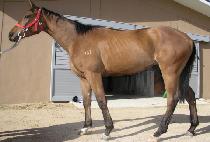 õȲ��� (CHONHWANGDEUNGGEUK) ����