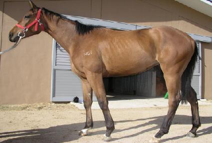 õȲ��� ����