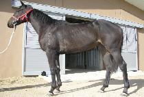 ��� (DEUNGDAN) ����