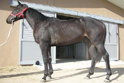 ��� ����