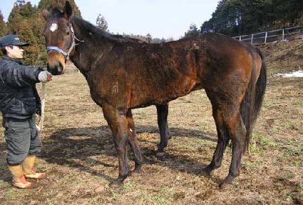 �ֳ����� ����