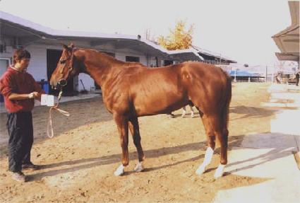 õ�չ��� ����