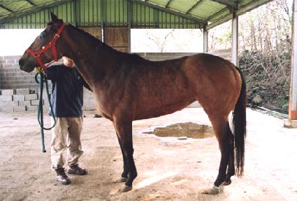 �������Ͻ� ����