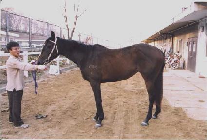 �ٴټҸ� ����