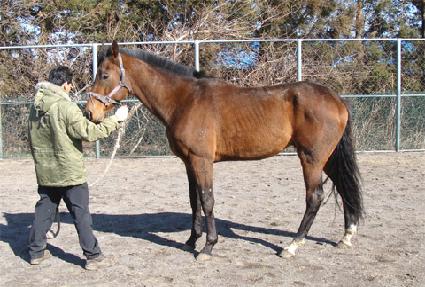 ������ ����