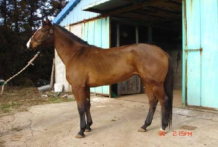 �����°� ����