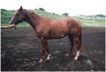 �׷���Ƽ�� ����