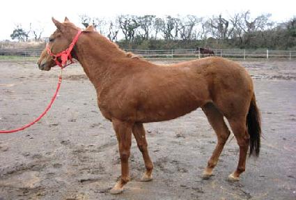 ���п��� ����