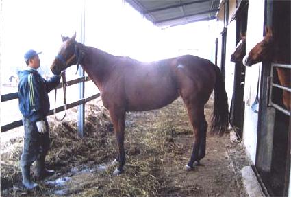 ���������� ����