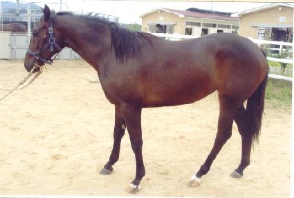 ������ ����