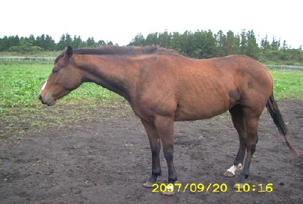 ����� ����