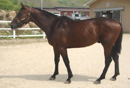 �ݵ����� ����