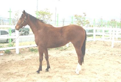 �����Ѹ��� ����