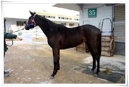 �˷���ī���� ����