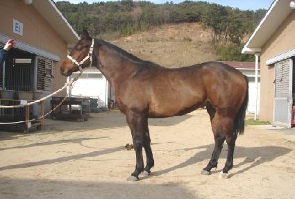 õ��ȣ�� ����