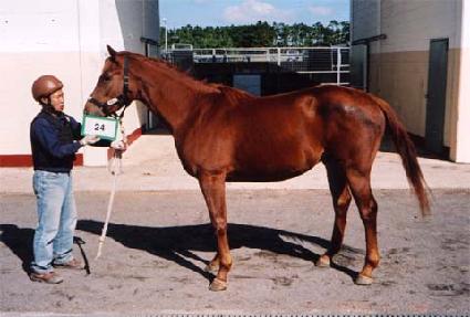 °��� ����