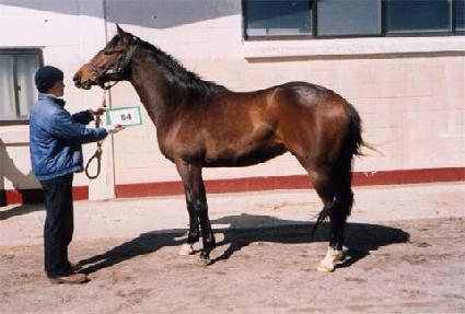 �̰����� ����