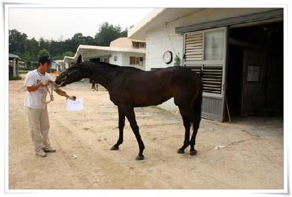 �¸����� ����