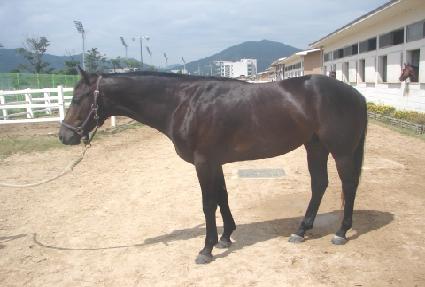 ������ ����