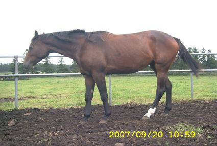 ����ũ������ ����