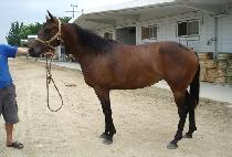 ��������� (GIJEOKGWAHAENGUN) ����