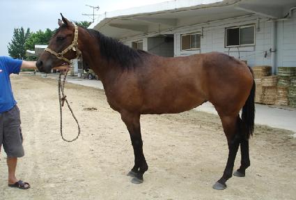 ��������� ����